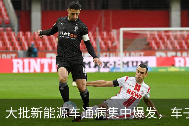 大批新能源车通病集中爆发，车子开着没毛病，电池却直接报废