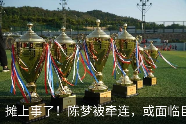 摊上事了！陈梦被牵连，或面临巨额赔偿，恐遭网暴，本人紧急公关